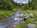 river_197