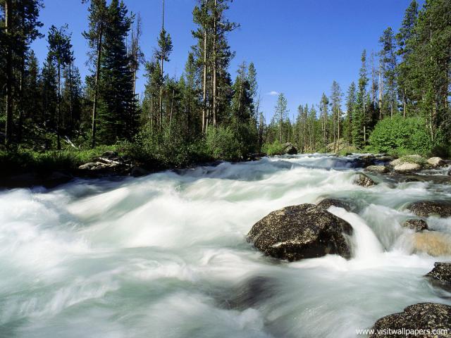 river_204