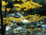 Parks_284