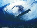 surfer_18