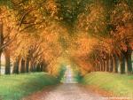 France_096