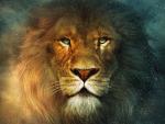 narnia_04