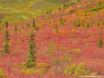 Parks_294