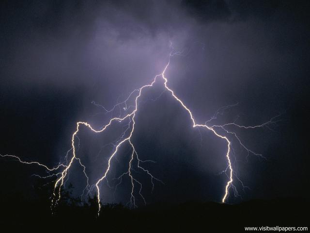 force_of_nature_73