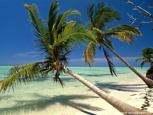 Beaches_094