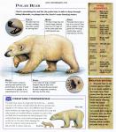 Animals_644