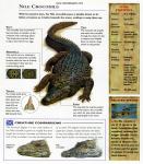 Animals_648