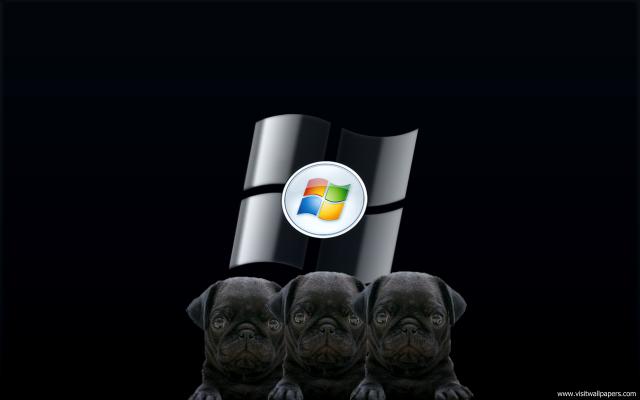 windows_8_032