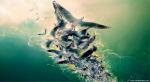 windows_8_037