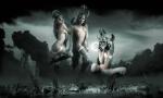 Fantasy_319