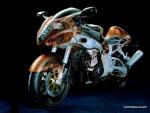 suzuki-001-01