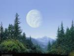 starwars_243