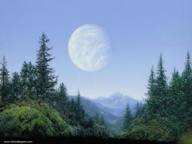 starwars_243