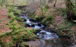 river_207