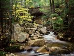 Cobblestone_Bridge