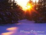 Merry_Christmas_03