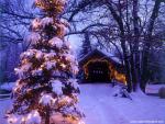 Merry_Christmas_02