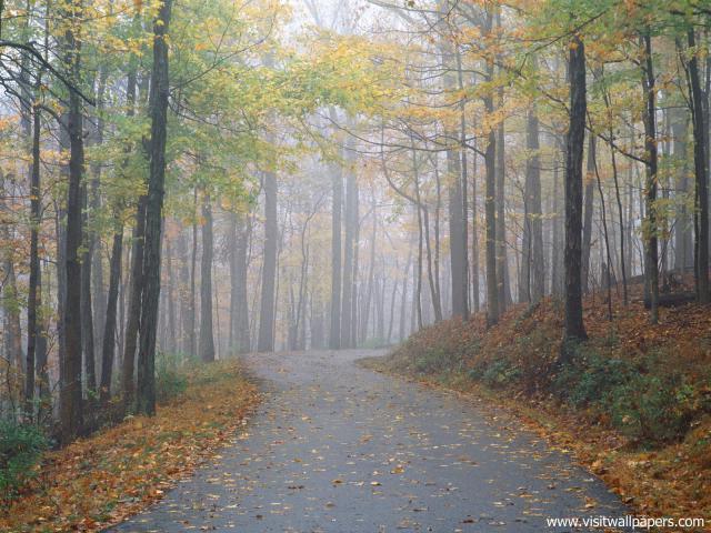 Morning_Mist_06