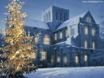 Merry_Christmas_09