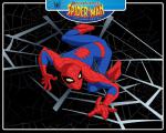 spider-man_102