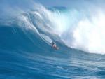 surfer_21