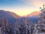 Parks_303