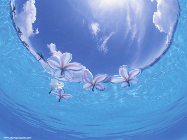 blue_035