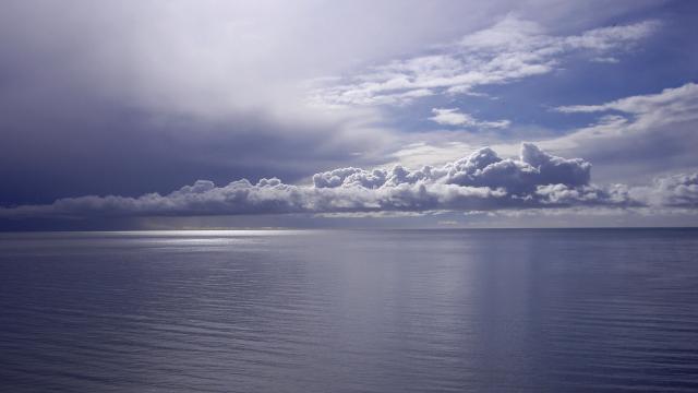 Image_0146