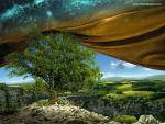 Fantasy_441