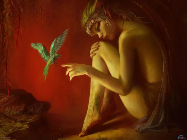Fantasy_457