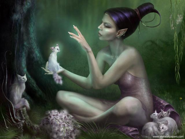 Fantasy_541