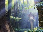 Japan_072