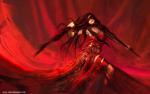 Fantasy_207