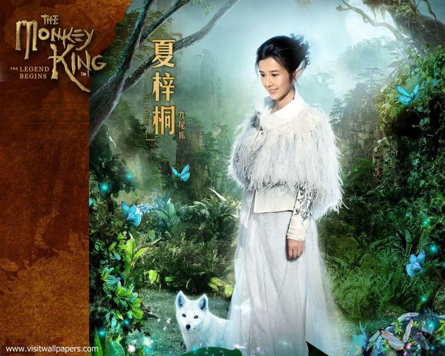 the_monkey_king_28