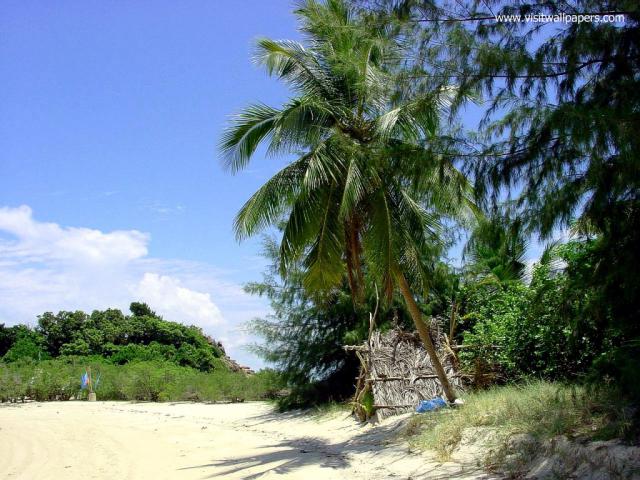 thailand_147