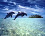 ocean-life-568