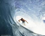 surfer_31