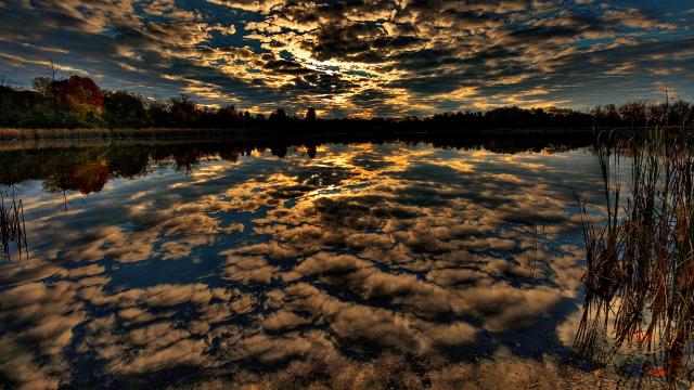 Image_0386