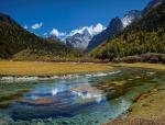 Image_0393