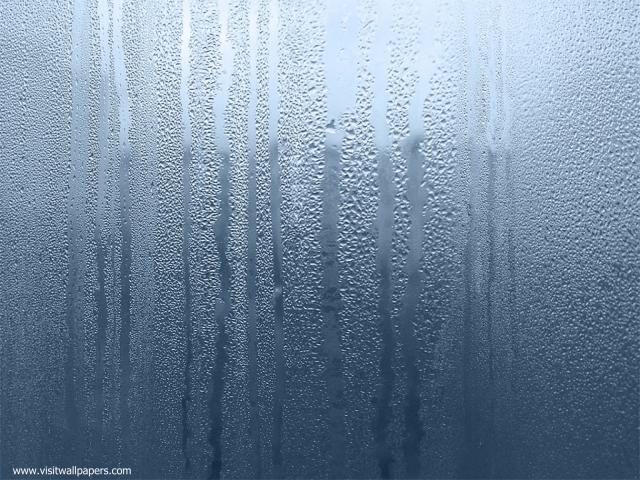 Image_0479