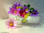 Image_0540