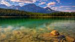 Image_0585