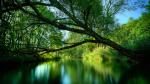 Image_0593
