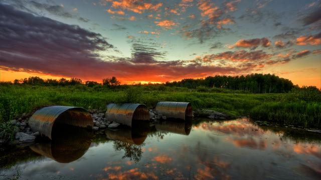Image_0597