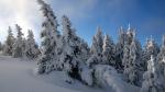 Image_0599