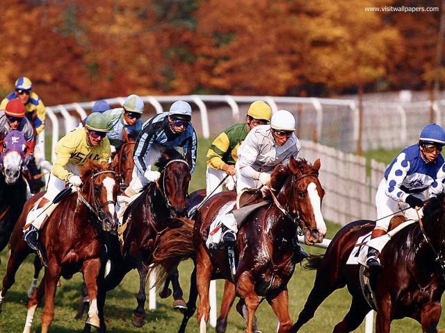 horse_racing_04