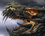 transformers4_81