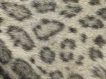Snow_Leopard_05