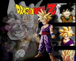 gohan