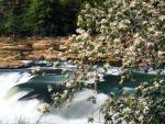 river_209